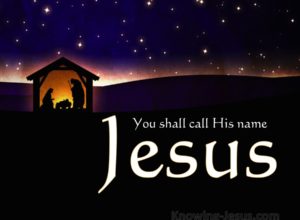 2004 vol. 4 神而人者 耶稣基督